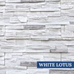 Gallery 9 WHITE LOTUS URBAN QF.jpg